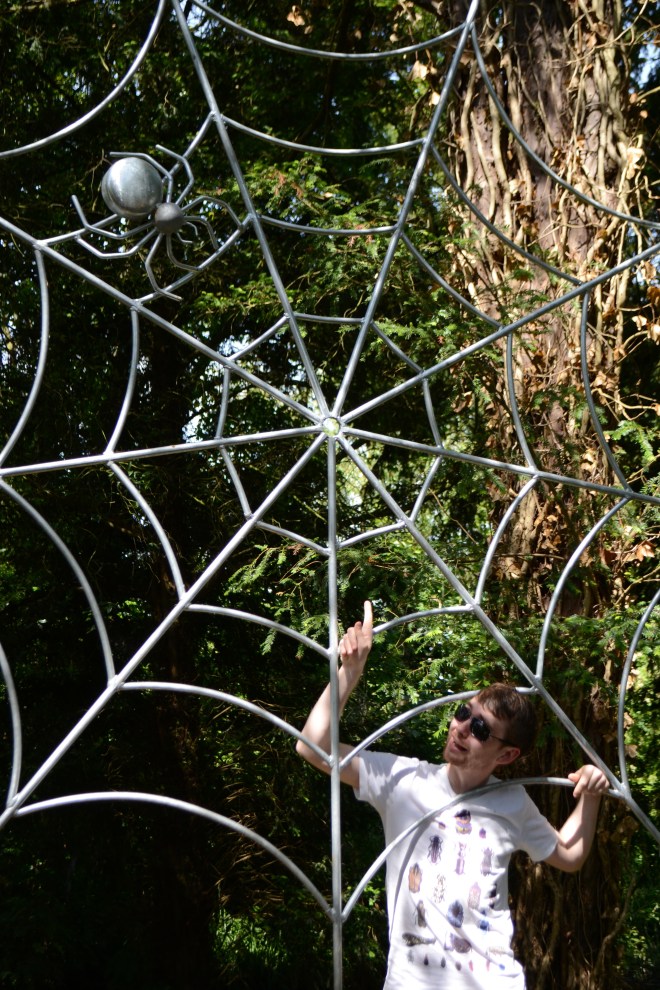 Caught in a web of wildlife.