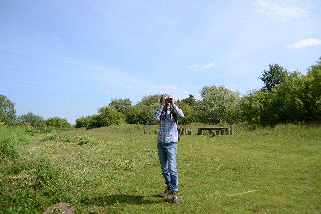 We were watching a male Blackcap.