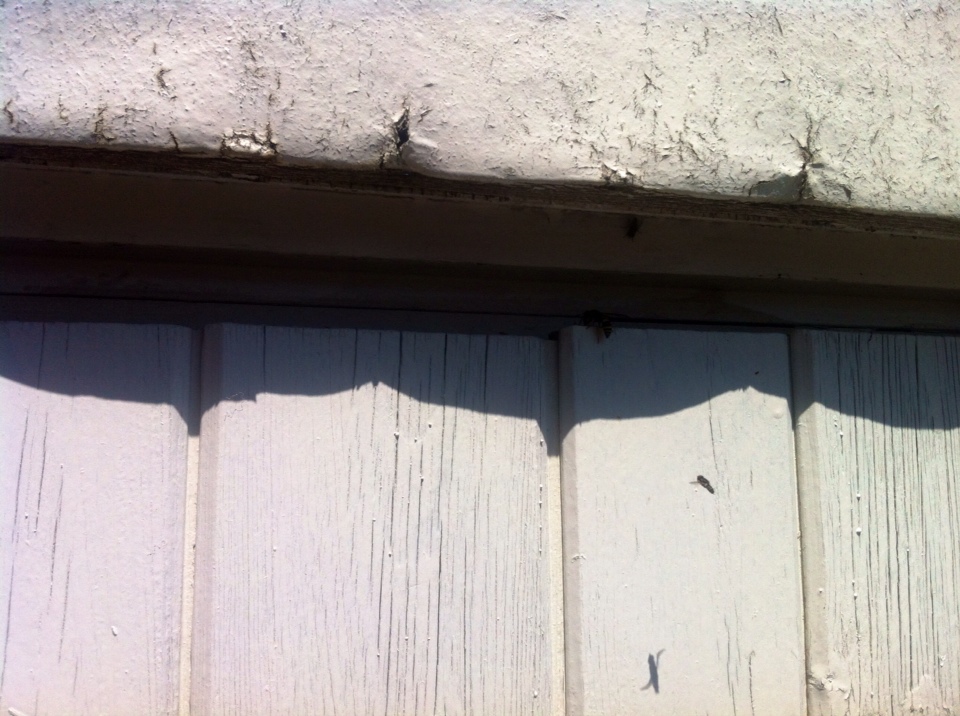 image-11-06-15-09-54