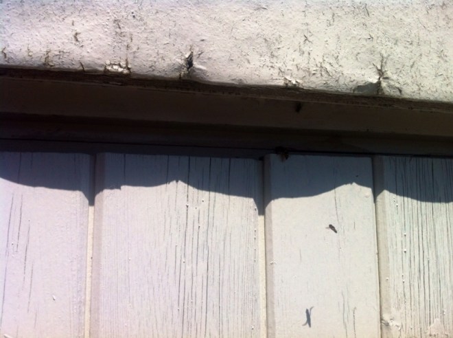 image-11-06-15-09-54