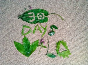 #30DaysWild