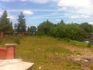 Brownfield along the Northfield Relief Road.