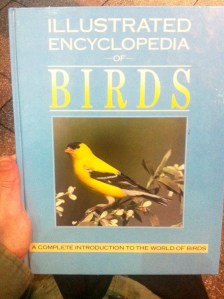 Refreshing my knowledge and filling in any gaps.