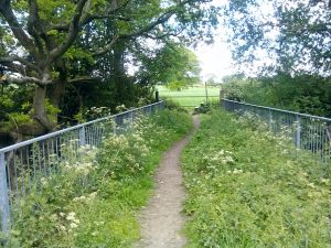 On the bridge facing the farm