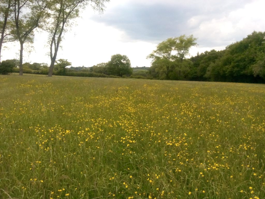 Something's hiding in the middle...