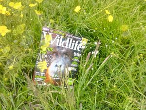 BBC Wildlife magazine in the Wild