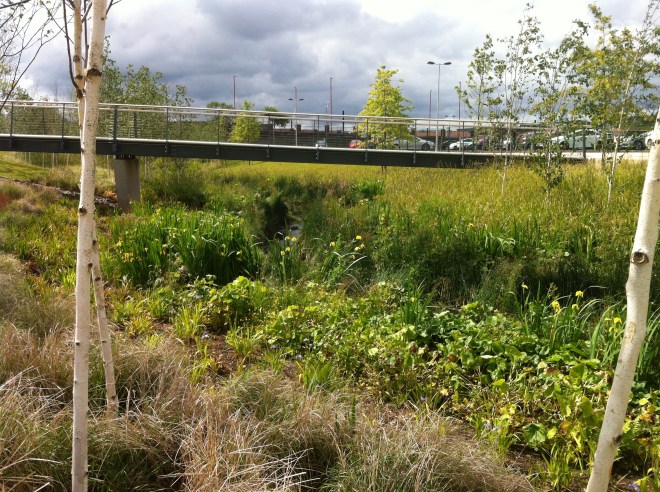 The middle of the new Green Space, looking towards the chap on the bike.