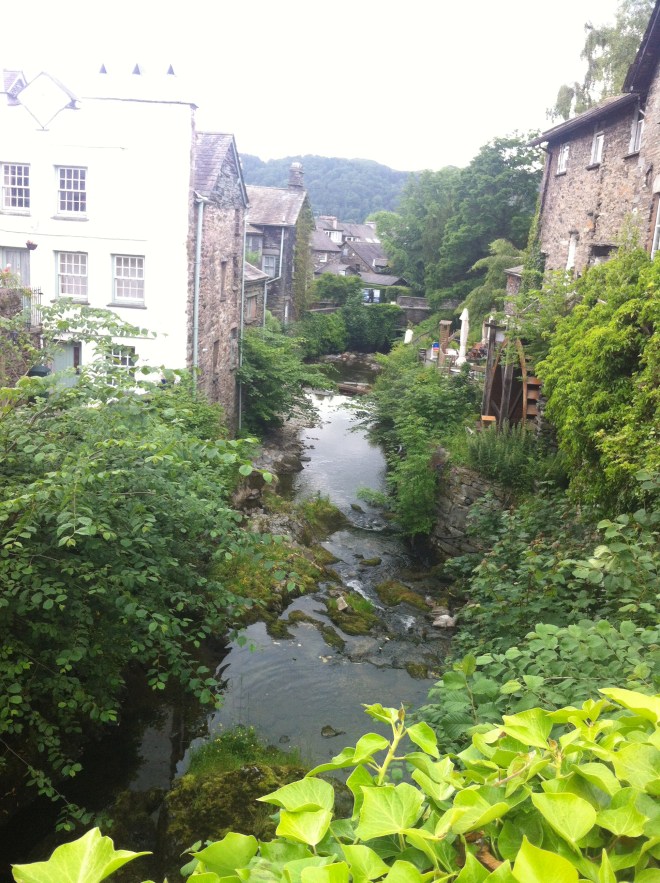 I saw my first ever Dipper just down there! On Day 27 of 30 Days Wild! :D